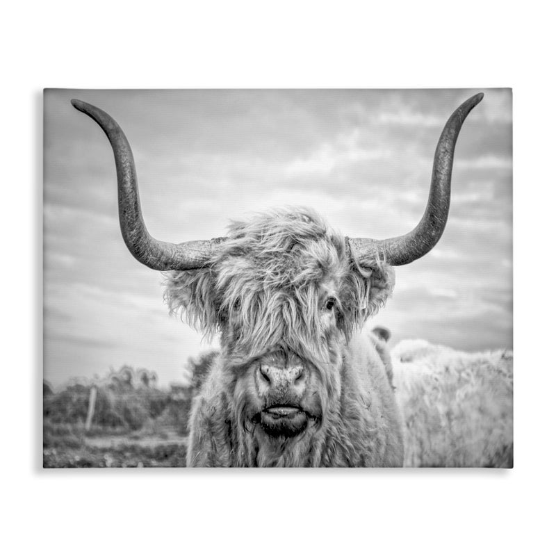 Stupell Industries Black and White Highland Cow Photograph Canvas Wall Art Design By Joe Reynolds 24 x 30 - Image 1